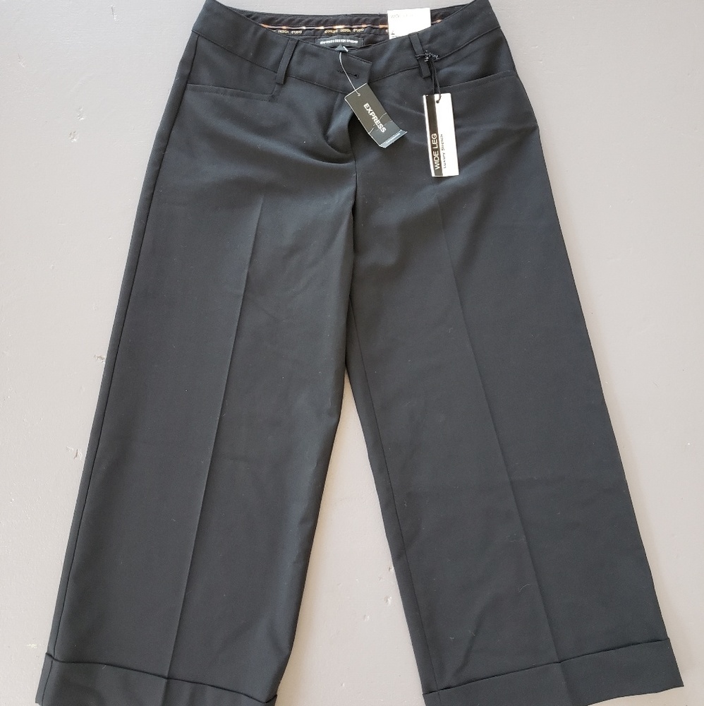 NWT Express Wide Leg Low Rise Trowser Dress Pants